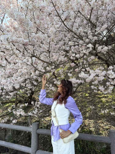 PURPLE PLUS JAPAN