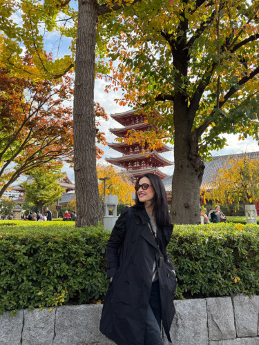 PURPLE PLUS JAPAN